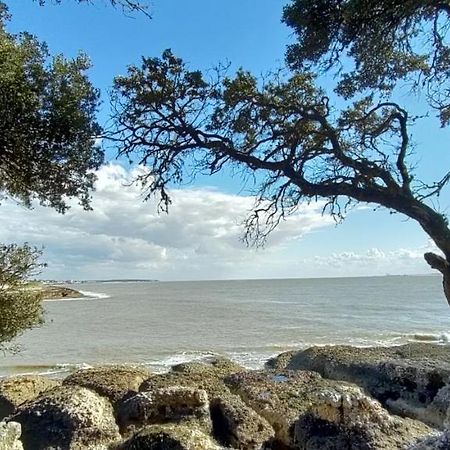 Saint-André-de-Lidon Campagne Et Mer المظهر الخارجي الصورة